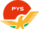 PYS Vietnam Technology Company Limited logo