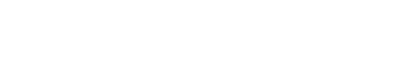 Rishima Exim Venture Inc. logo