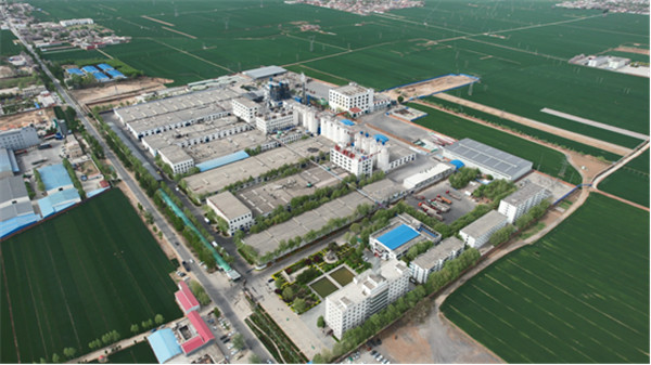 Hebei Weihigh Technology Co., Ltd. Virgin Polyester Staple Fiber