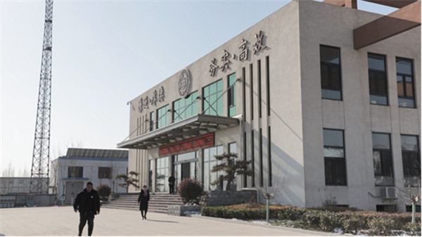 Hebei Weihigh Technology Co., Ltd. Recycled Polyester Staple Fiber