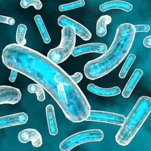 Probiotics and Fermentation Ingredients
