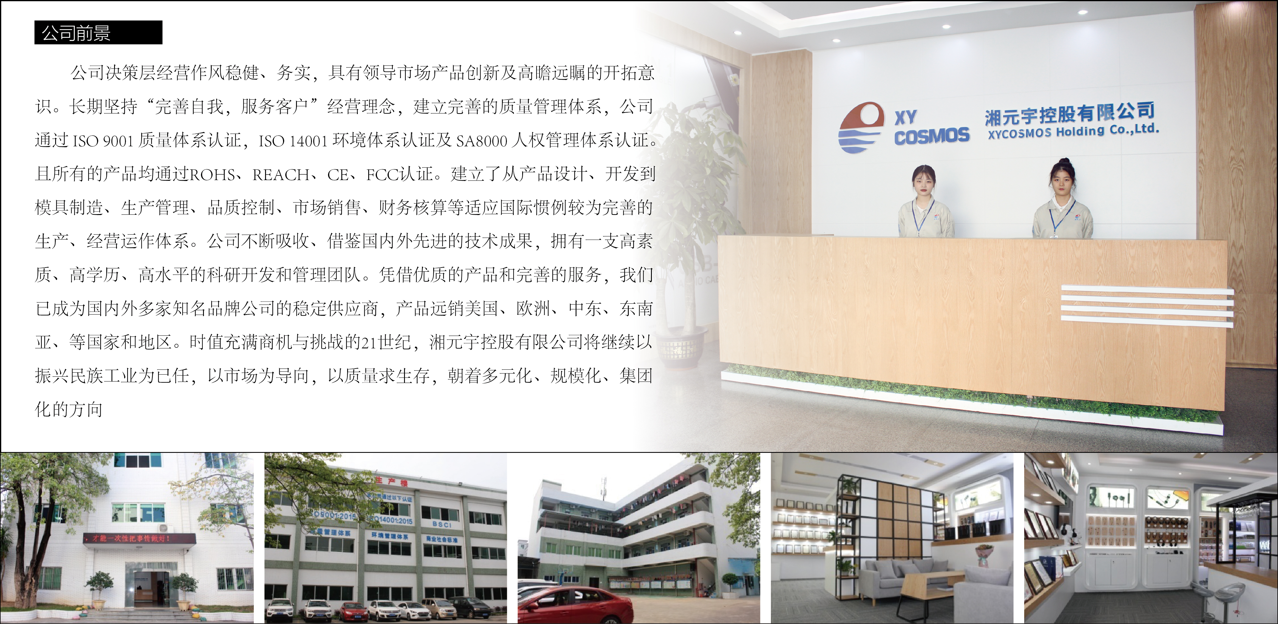 XYCOSMOS Holding Co., Ltd. Charging Cable