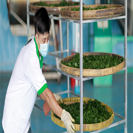 Agarwood Viet Nam Production Company Limited Agarwood Chips