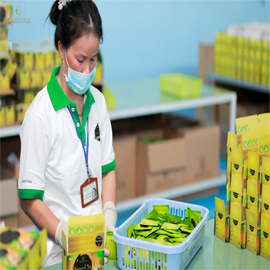Agarwood Viet Nam Production Company Limited Agarwood Incense