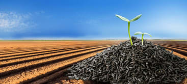 Servoday Plants & Equipments Limited Edible Oil Refining Plants