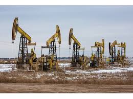 OOO Pulytinskoe Crude Oil