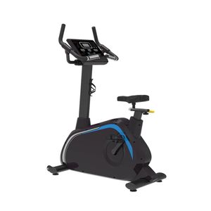Gym Equipment Exercise Upright Bike TZ-2030