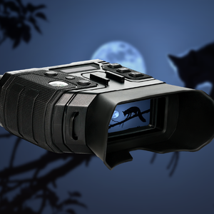 Spotlight bullet battery camera