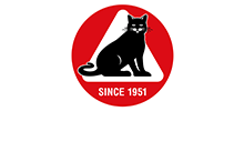 Company icon