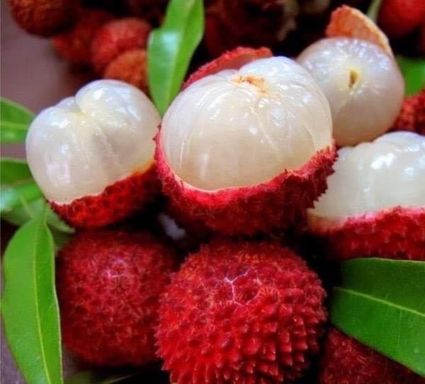 FRESH LYCHEE/LITCHI/LITCHEE