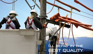 COV Safety Belt