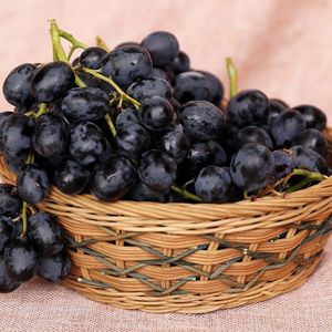 Black grape