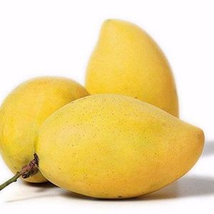 MANGO (HOA LOC & CAT CHU)