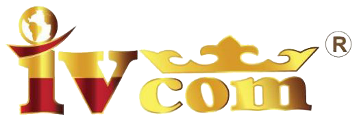 Y – Viet Service Trading And International Investment Company logo