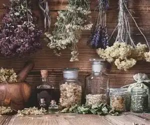 Herbs Powder