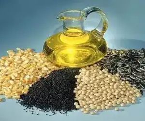 Oil Seed