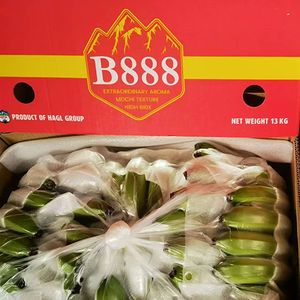 Fresh bananas for export B888- B456, B789