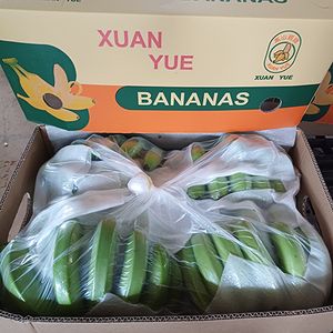 Fresh bananas for export Xuanyue - A 456, A789