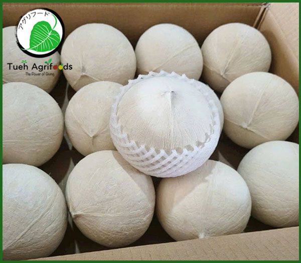 Fresh coconut