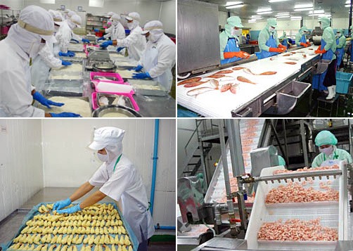 A & T Trading Company Limited factory image 1