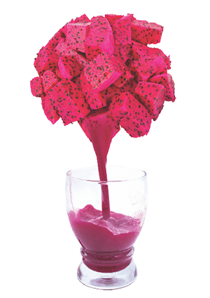 Dragon Fruit Puree