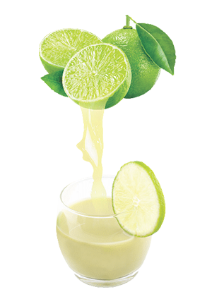 Lime Puree and Juice Concentrates