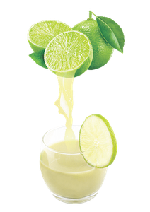 Lime Puree and Juice Concentrates