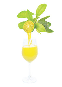 Calamansi Puree and Juice Concentrates