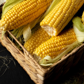 BIO DEGRADABLE CORN