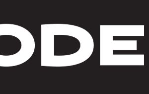 Company icon