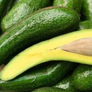 Discover the Creamy Goodness of Fresh Avocado 034