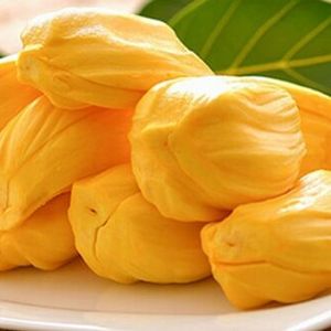 Explore the Delights of Fresh Jackfruit: Nature’s Sweet Tropical Treasure