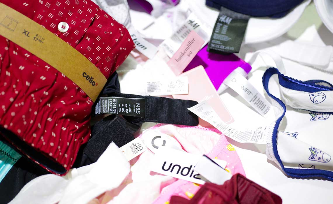 lingerie, underwear, and activewear