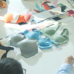 bras, sports bras, panties, and shapewear