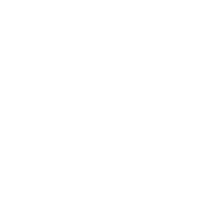 Company icon