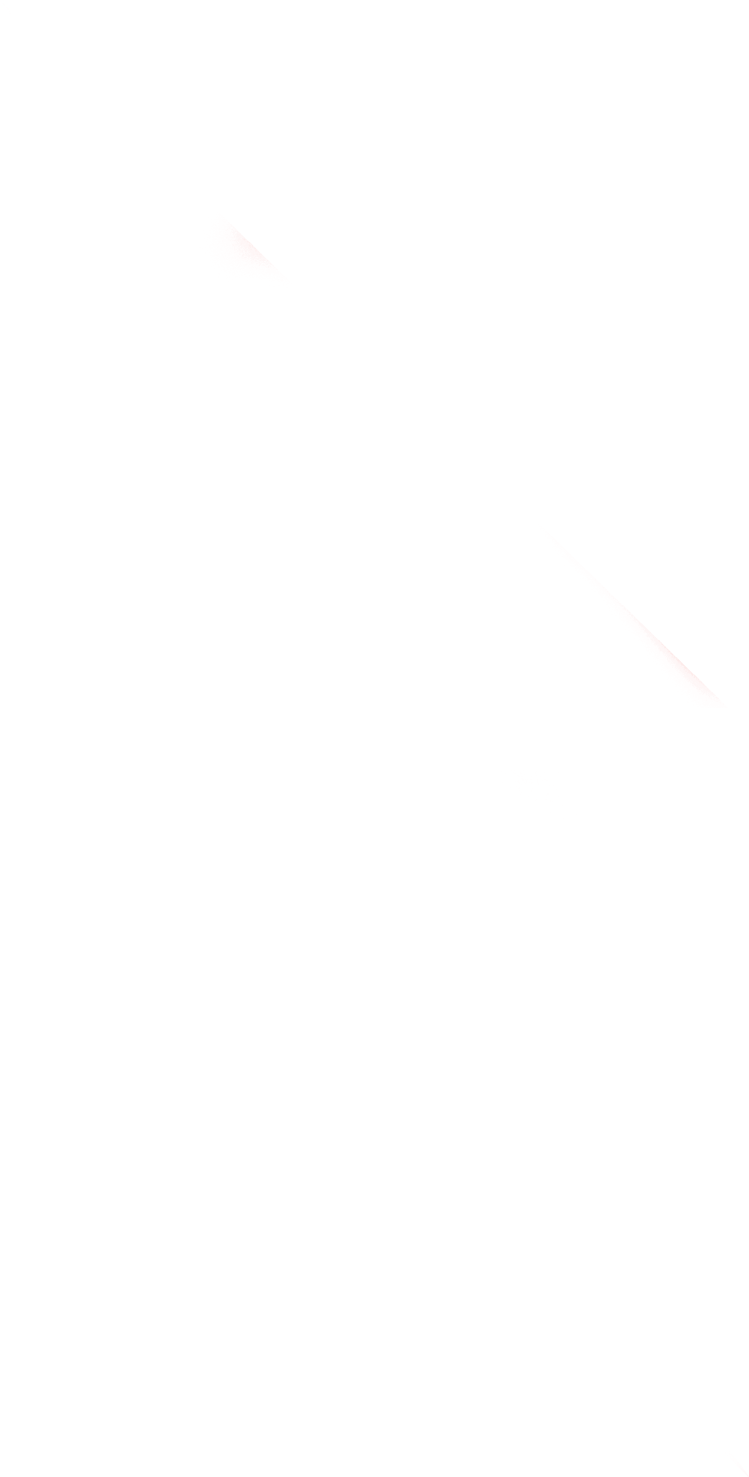 Artigiani Veneziani Srl logo
