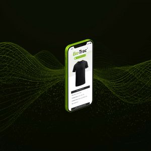 Basic Cotton T-Shirt