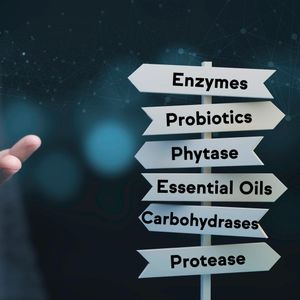 Animal Nutrition