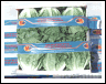 ROMAN LETTUCE