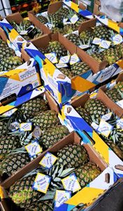 Pineapples