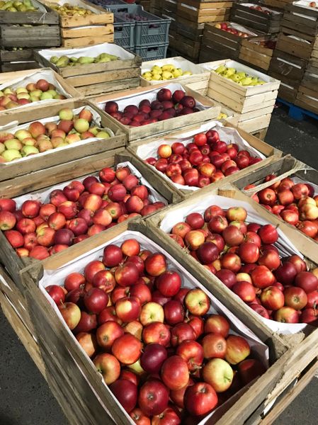 Fruits and vegetables