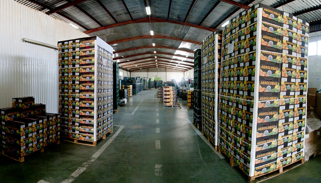 Agrolumar, S.A. Fresh vegetables