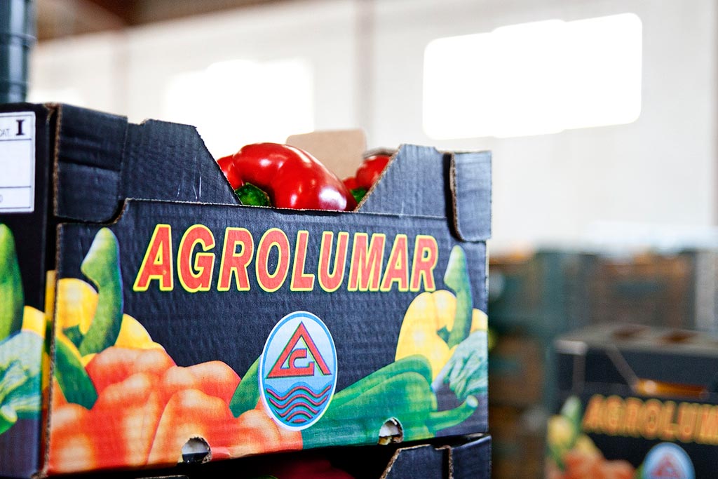 Agrolumar, S.A. Fresh fruits