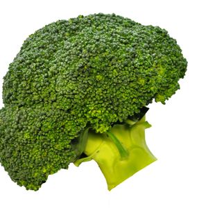 Broccoli