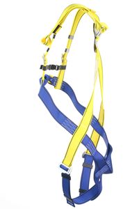P-30 Safety harness