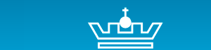 Company icon