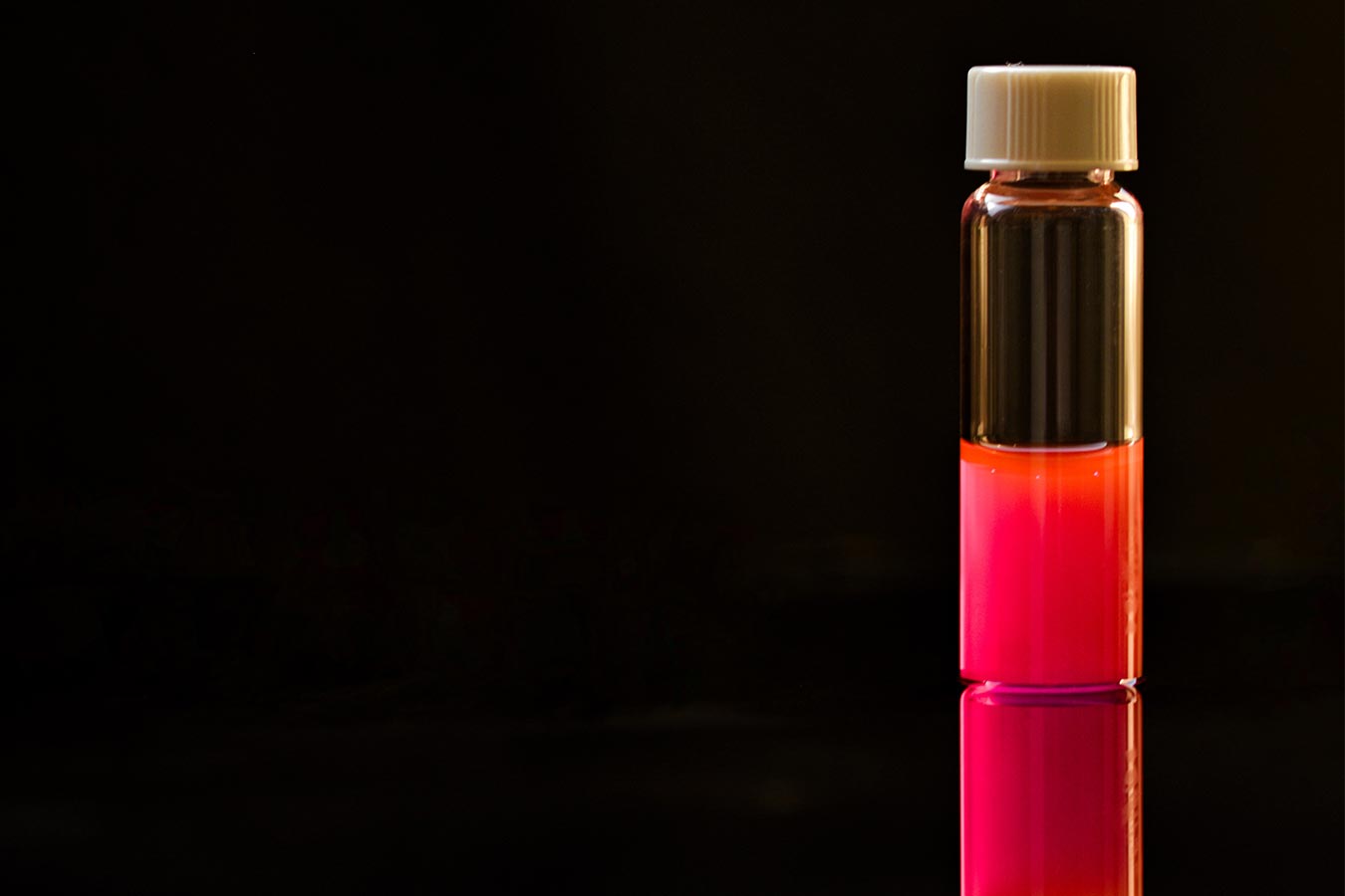 ARCHIMEDE RICERCHE S.R.L. microalgae biomass
