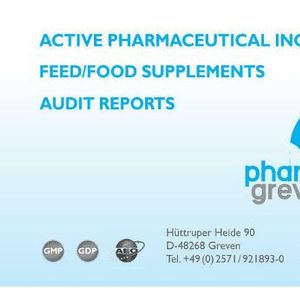 Audit
