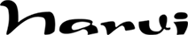 N V TORRENTE S. L. logo