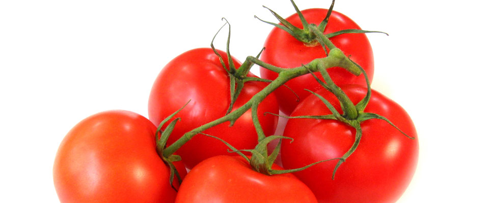 Tomatoes